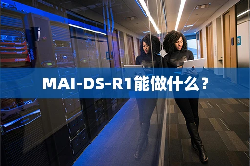 MAI-DS-R1能做什么？