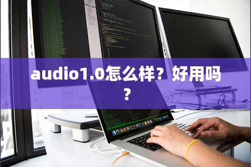 audio1.0怎么样？好用吗？