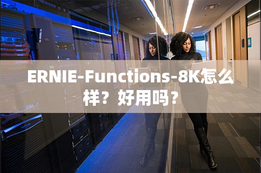 ERNIE-Functions-8K怎么样？好用吗？