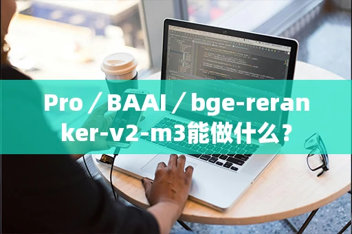 Pro／BAAI／bge-reranker-v2-m3能做什么？