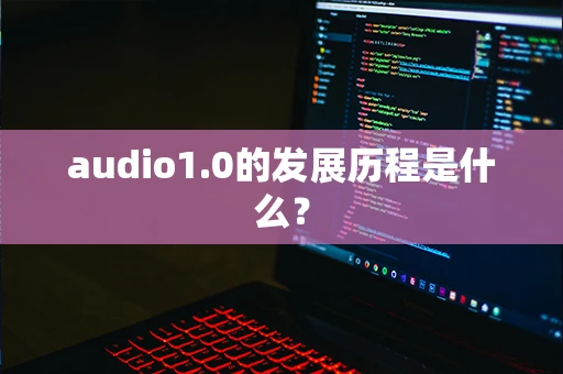 audio1.0的发展历程是什么？