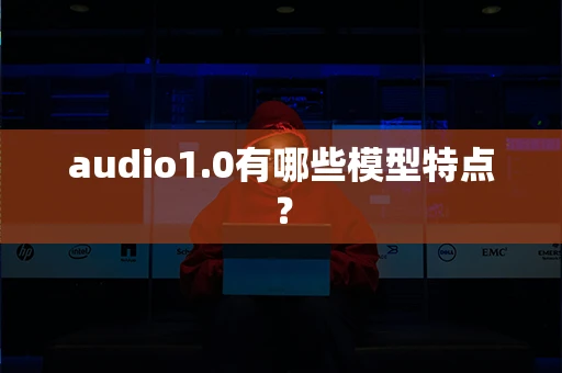 audio1.0有哪些模型特点？