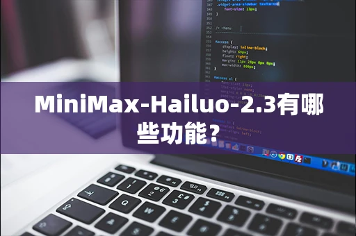 MiniMax-Hailuo-2.3有哪些功能？