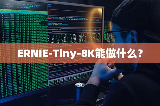 ERNIE-Tiny-8K能做什么？