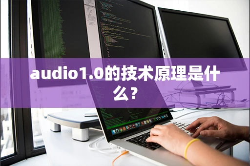 audio1.0的技术原理是什么？