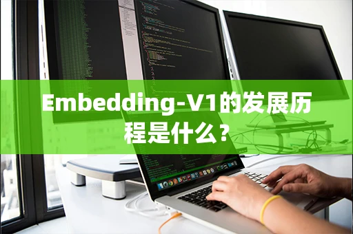 Embedding-V1的发展历程是什么？