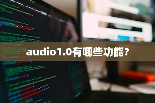 audio1.0有哪些功能？
