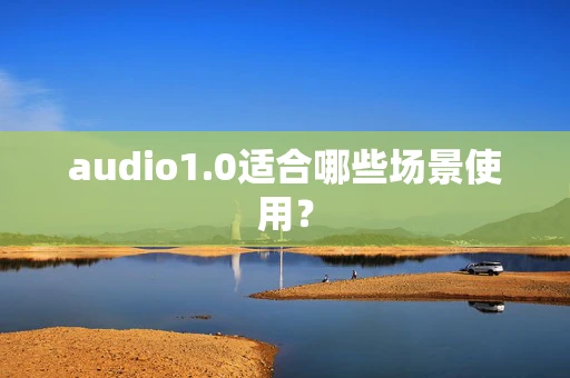 audio1.0适合哪些场景使用？