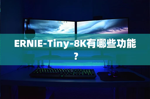 ERNIE-Tiny-8K有哪些功能？