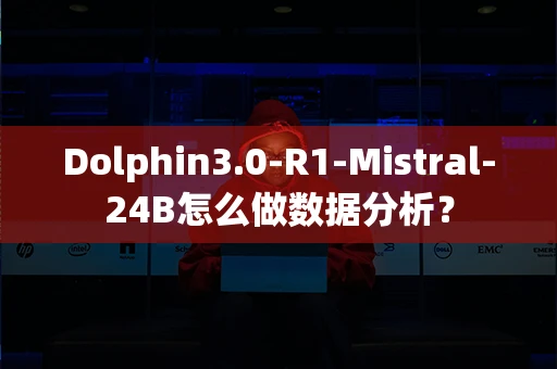 Dolphin3.0-R1-Mistral-24B怎么做数据分析？