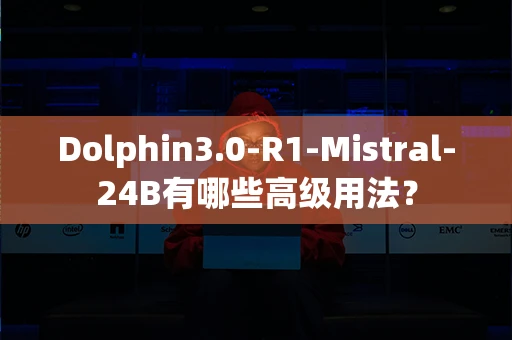 Dolphin3.0-R1-Mistral-24B有哪些高级用法？