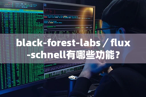 black-forest-labs／flux-schnell有哪些功能？