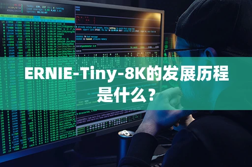 ERNIE-Tiny-8K的发展历程是什么？