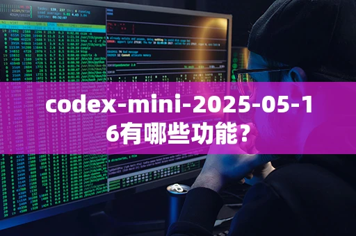 codex-mini-2025-05-16有哪些功能？