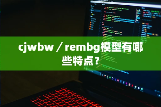 cjwbw／rembg模型有哪些特点？