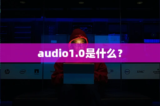 audio1.0是什么？