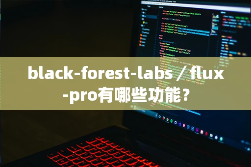 black-forest-labs／flux-pro有哪些功能？