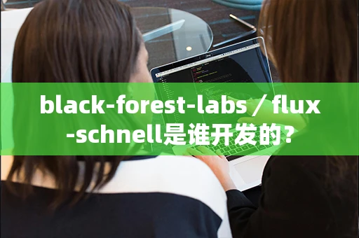 black-forest-labs／flux-schnell是谁开发的？