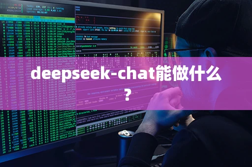 deepseek-chat能做什么？