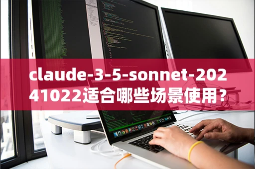 claude-3-5-sonnet-20241022适合哪些场景使用？