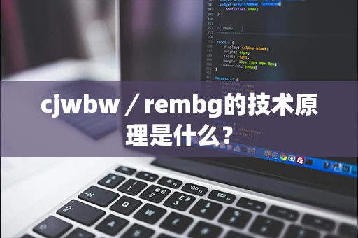 cjwbw／rembg的技术原理是什么？