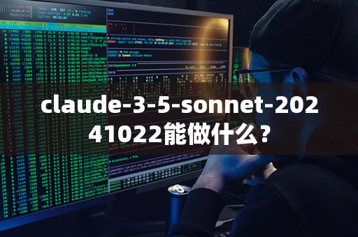 claude-3-5-sonnet-20241022能做什么？