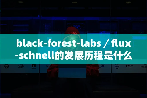 black-forest-labs／flux-schnell的发展历程是什么？