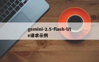 gemini-2.5-flash-lite请求示例