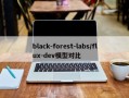 black-forest-labs/flux-dev模型对比