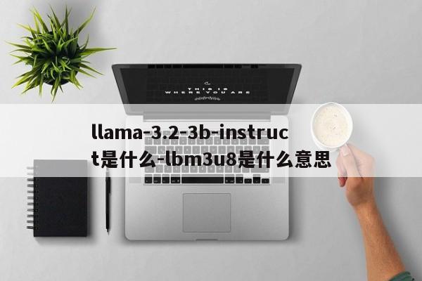 llama-3.2-3b-instruct是什么-lbm3u8是什么意思-第1张图片-火焰兔